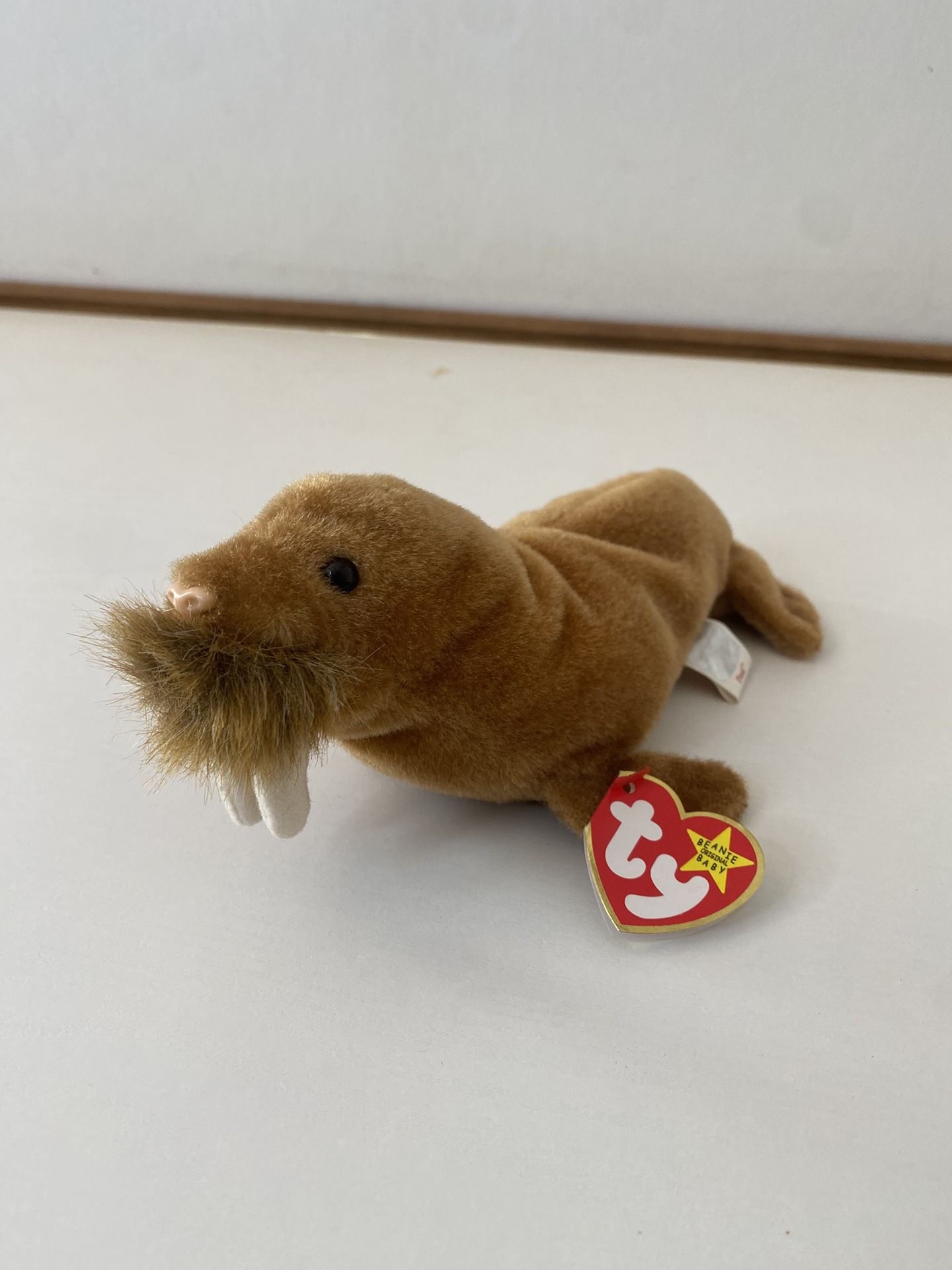 Ty Beanie Baby PAUL the Brown Walrus (7 Inch) Stuffed Animal Plush Toy