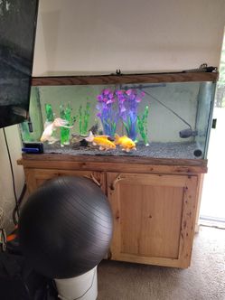 Fish tank