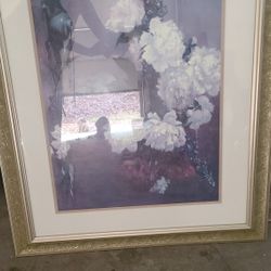 Beautiful Floral Framed Art. Any One $20.  All 3 For $50