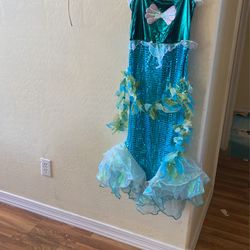 Mermaid Costume Size 6