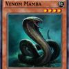 Mr.Snake