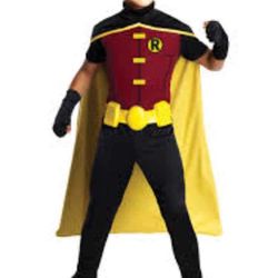 Kids Halloween Costume Robin