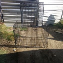 Two Dog Cages