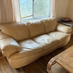 Free Leather Couch