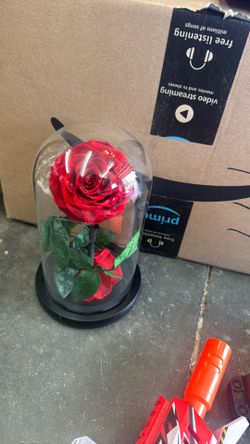 Preserved Red Rose in Glass Dome