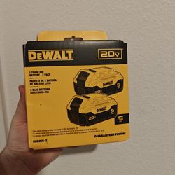 20V MAX Lithium-Ion 5.0Ah Battery (2-Pack)