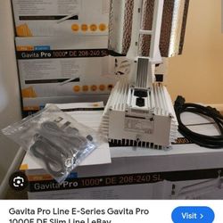 Gavita Pro 1000 De Lights