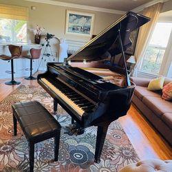 Beautiful Maeari Baby Grand Piano Delivery Options Available!