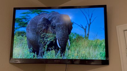 Sony 55” TV with remote