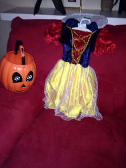 Halloween little girls costume