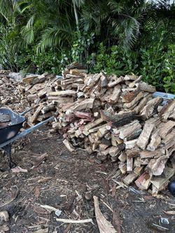 firewood for sale - 25 pieces for $20