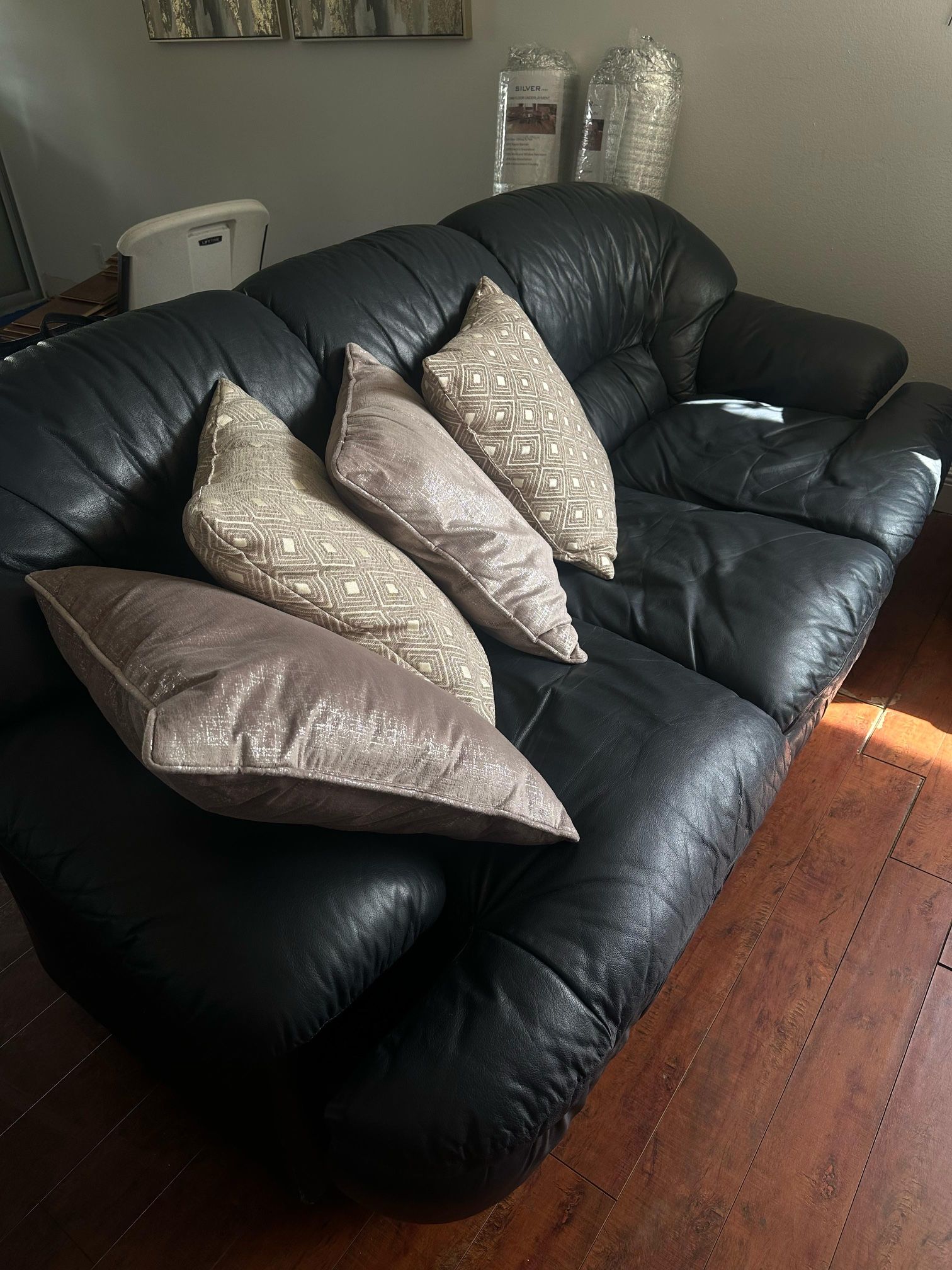 Sleeper Sofa + Sofa On Sale