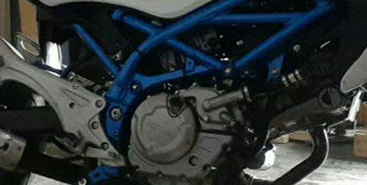 Photo 650 Suzuki GLADIUS 2009.