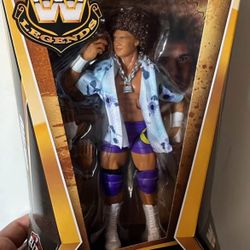 Wwe Action Figure