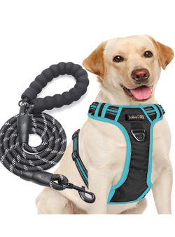 5 Ft Dog Leash