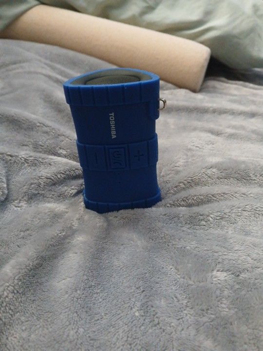 Toshiba Speaker