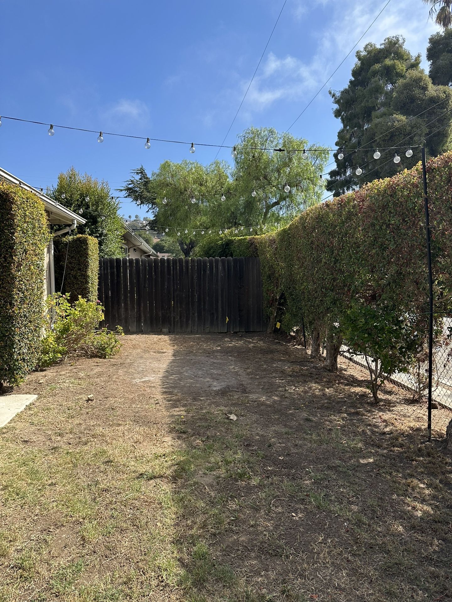 Free Lights And Poles- Must Pick Up Today!