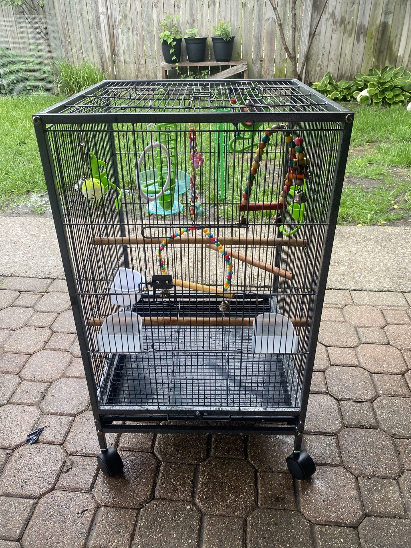 Bird Cage