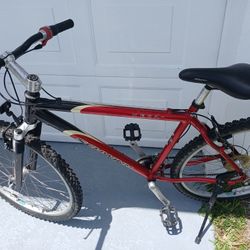 Schwinn.26"