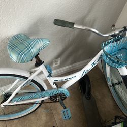 Beach Cruiser 