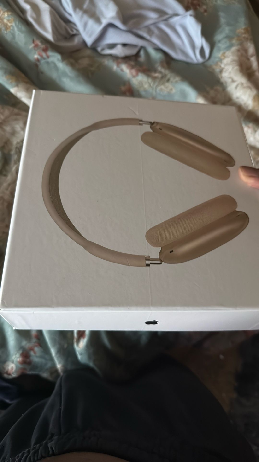 Apple Headphones