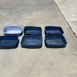 Litter boxes FREE!