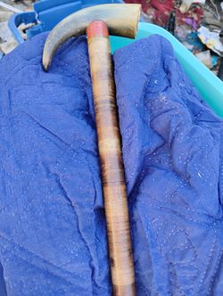 1800s Bonehorn Cane