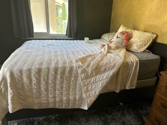 Free Queen bed/mattress