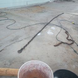 3/8 Chain With Clovis Hooks 12' 