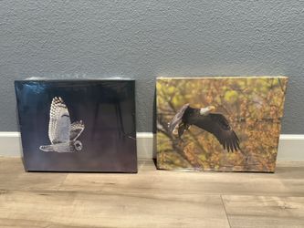 Eagle/Owl Canvas Print (still sealed)