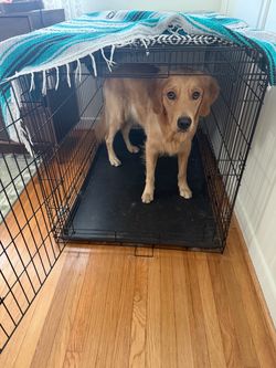 Dog Crate for Large Breed