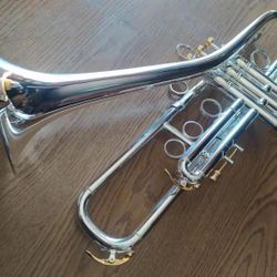 Firebird Trumpet/ Trombone Bb BerkeleyWind