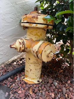Antique fire hydrant