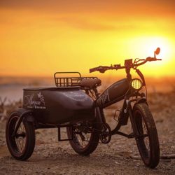 Mod Easy w/Sidecar  (Electric Bike)
