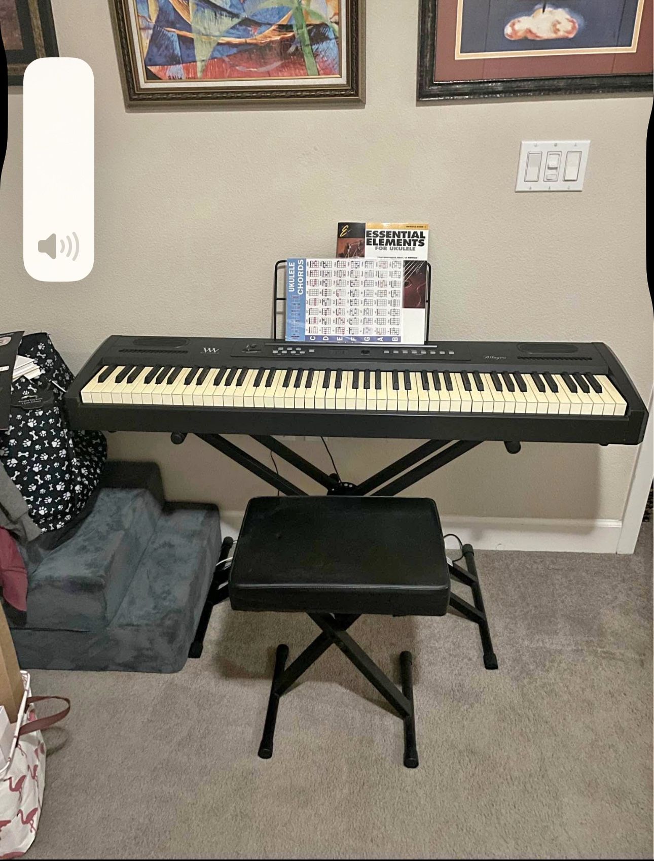 Williams Allegro Keyboard