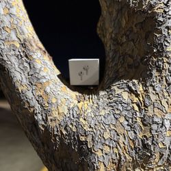 Gen 3 Pros (anc) W Receipt 