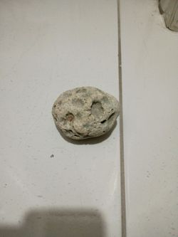 Rock from the Caribbean Ocean
