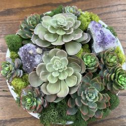 Faux Succulent