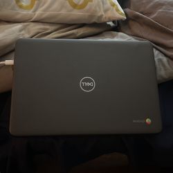 Chromebook (Dell laptop)