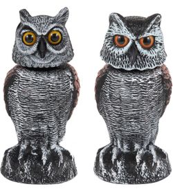 Outdoor owls