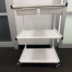 Aesthetician /Beauty cart STURDY!