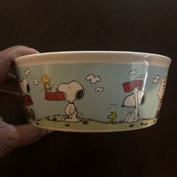 Peanuts Snoopy Ceramic Dog Bowl Dish GIBSON Charlie Brown Woodstock 