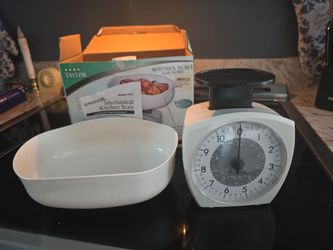 Taylor Kitchen Scale with bowl.