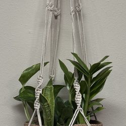 Vintage BOHO Macrame Plant Hanger plant and basket not included Just $5
