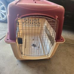 Dog Kennel 
