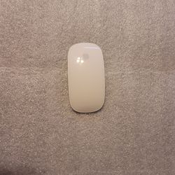 Apple Mouse