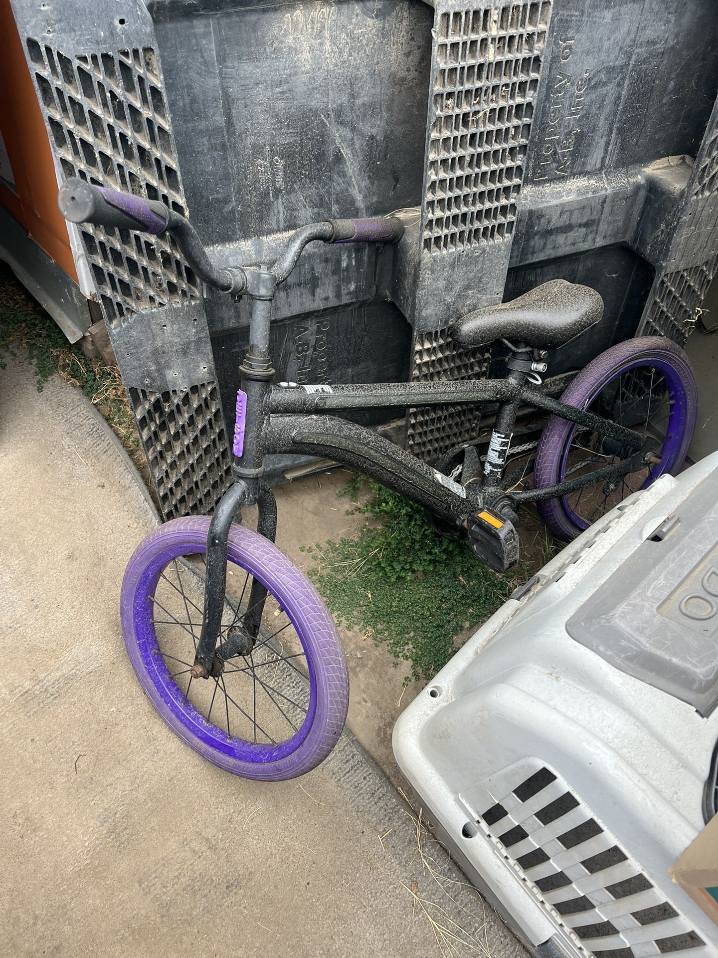 Jetson Light Up Bicycle