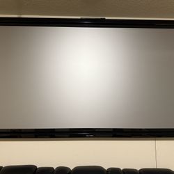 High-End Projector Screen with Projector Sale!!