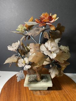 Chinese Jade Bonsai Tree