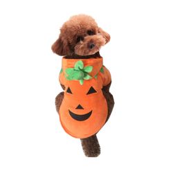 Pumpkin Costume for Small Dog Pet Halloween 